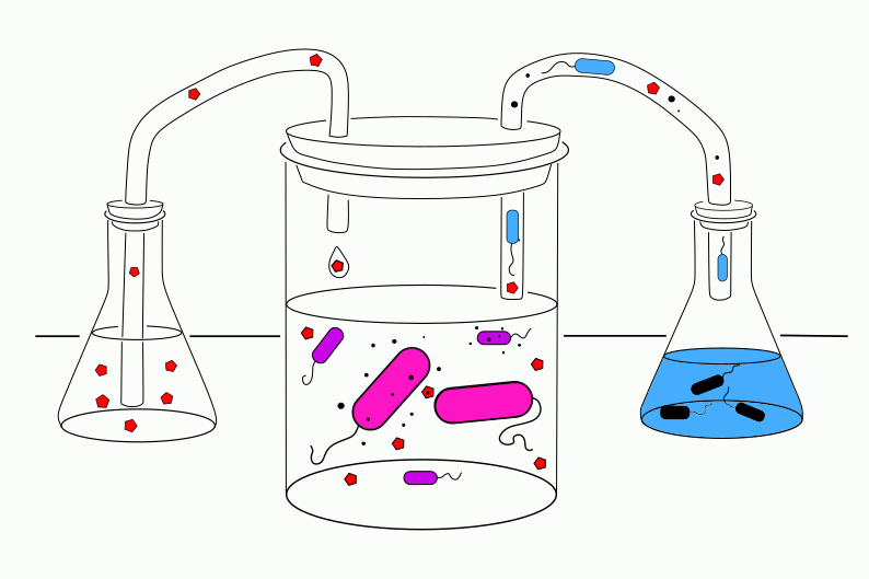 A  moving cartoon of a chemostat device showing growth medium being pumped into the bacterial culturing flask and the mixed solution being pumped out.
